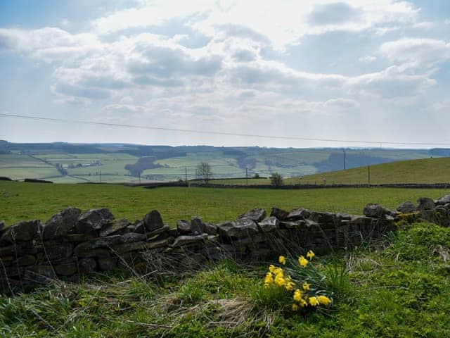 View | The Stables Studio, Haydon Bridge