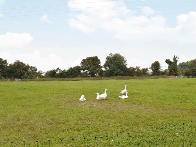 View | The Dairy - Compton Farm Cottages, Compton, near Chichester