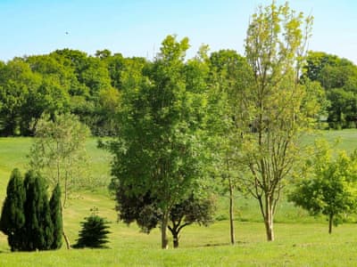 Surrounding area | The Goyle - Lawpit Lodges, Uplowman, near Tiverton