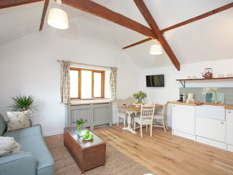 Open plan living space | The Hayloft - Burrator Cottages, Sheepstor