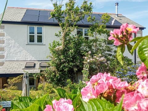 Exterior | Elderberry Cottage, Carnkie, near Carn Brea Redruth