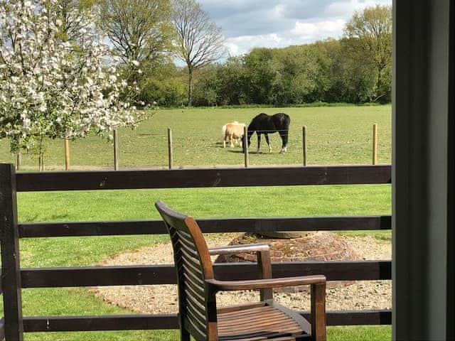  View from rear decking to paddock and fields to the West | Maplehurst Barn Stables, Staplehurst, near Maidstone