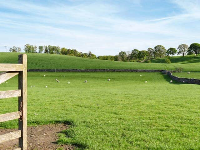 Setting | Tormire Laithe, Airton, near Skipton