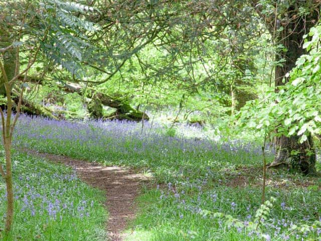 Surrounding area | The Stables, The Coach House, The Hayloft - Burrator Cottages, Sheepstor