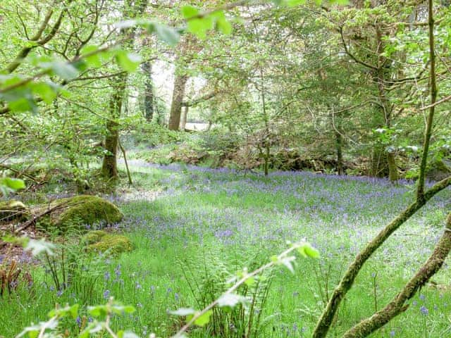 Surrounding area | The Hayloft, The Stables, The Coach House - Burrator Cottages, Sheepstor