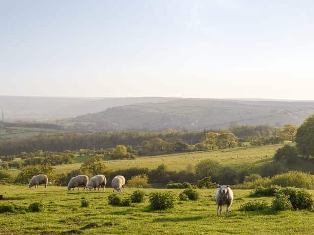 Surrounding area | New Cottage, Egton