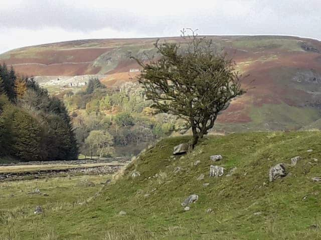 Surrounding area | Beech Cottage, Carlton-in-Coverdale near Leyburn