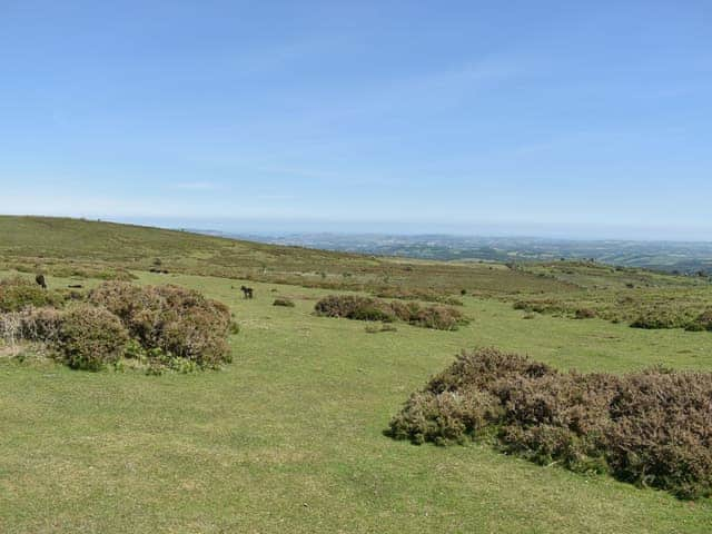 Surrounding area | Beech Tree Cottage at Blackaton Manor Farm, Widecombe-in-the-Moor