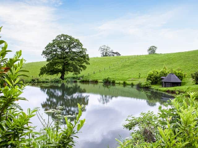 View | Moor Hen Shepherd Hut - Ponsford Ponds, Knowle, near Cullompton