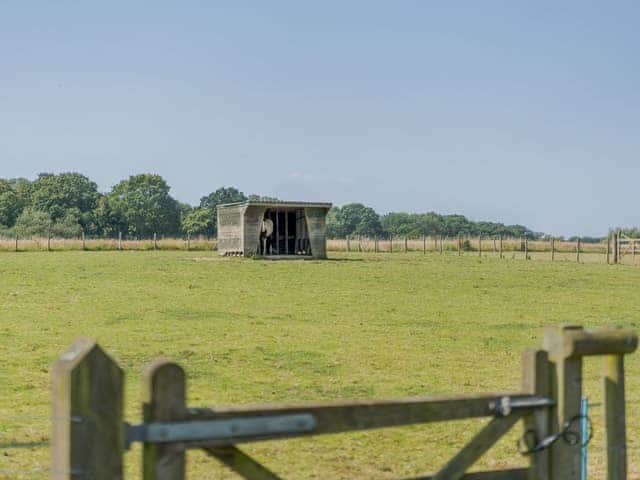 On site paddock | The Stables - Blackberry Barn, Tenterden