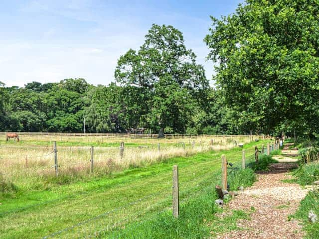 Surrounding area | Beech - Manor Farm Retreats, Cantley