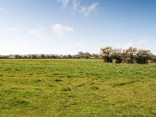 The Fisher Dairy, Chichester