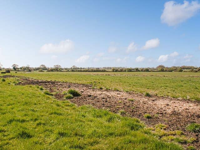 The Fisher Dairy, Chichester