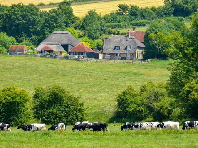 The Cow Hide, Arundel