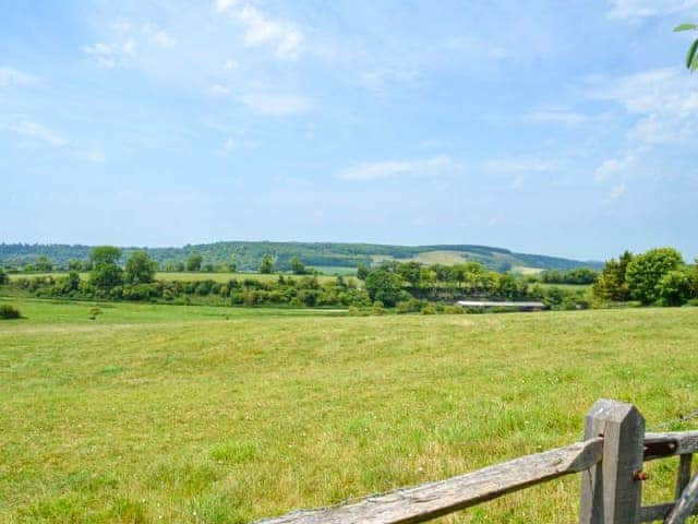 The Cow Hide, Arundel