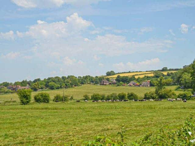 The Cow Hide, Arundel