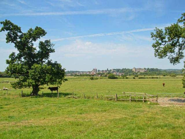 The Cow Hide, Arundel