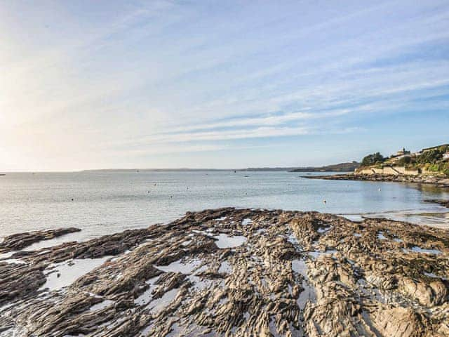 Dolphins, St Mawes