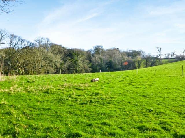 Fields across the road with public footpath | Verbena Cottage, Veryan