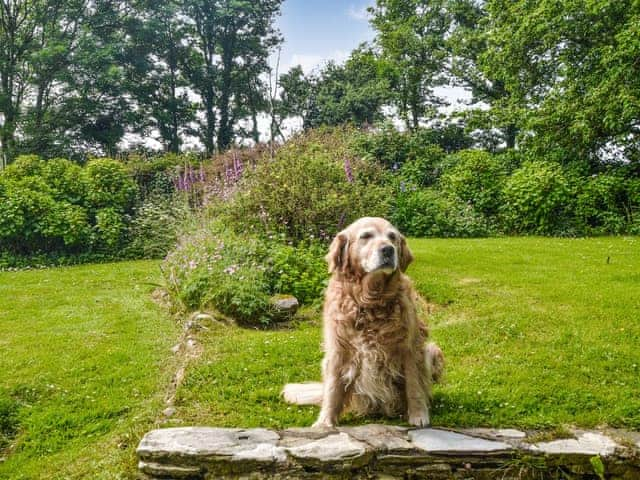 Polcreek Cottage, Veryan