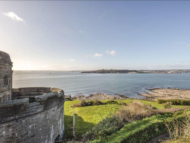 Verbena, St Mawes