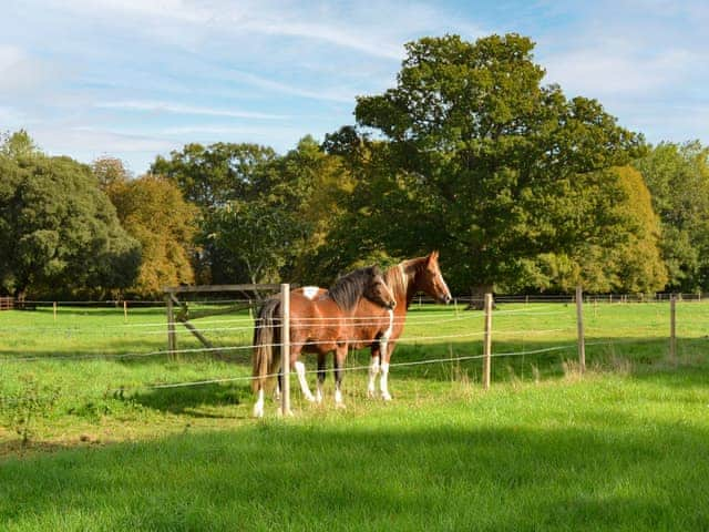 Surrounding area | Park View, Palgrave, near Diss