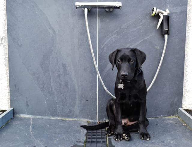 Shared use of dog shower facilities | Little Crugwallins, St Austell