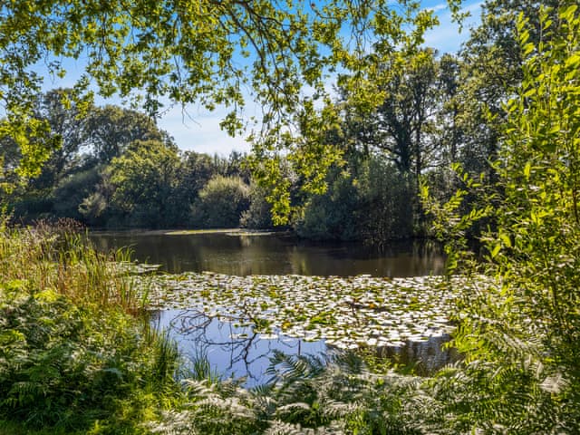 Garden and grounds | The Lodge at The Lake House, Plaistow