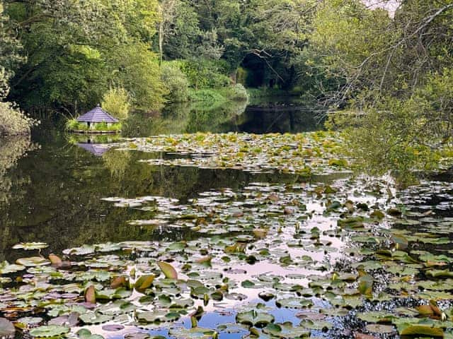 Garden and grounds | The Lodge at The Lake House, Plaistow