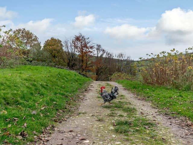 Surrounding area | Sycamore Cottage at Naze Farm - Naze Farm, Chinley