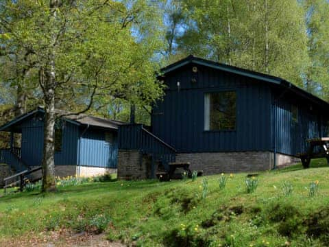 Exterior | Pine Chalet 21 - Loch Monzievaid, Crieff