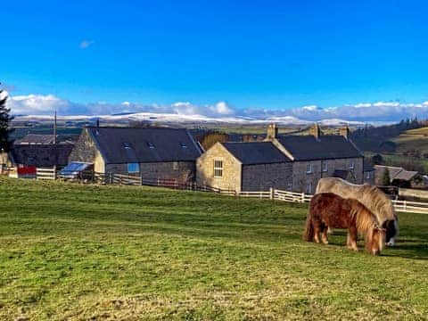 The Cheviot Hills offer an exciting, ever-changing backdrop to the property | The Old Mill, East Newtown, Rothbury