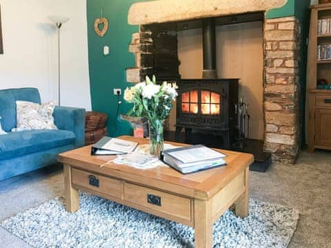 Warm and welcoming living room | Greenpastures, Patchacott, near Okehampton