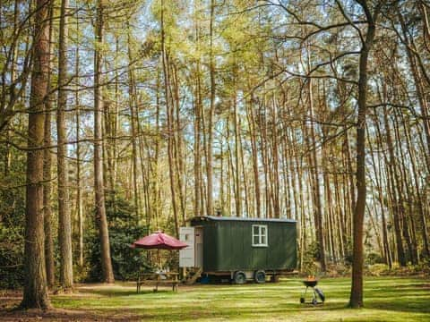 Honeysuckle Hut - Rosslyn Glamping, Melton Constable