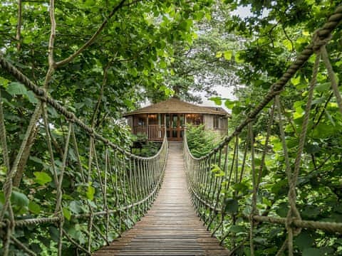 Bensfield Treehouse, Wadhurst