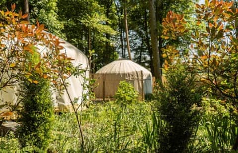 Larch - Gingerbread Yurts, Dereham