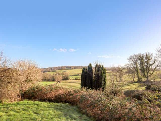 View of the Shimming Valley | Cobblers Cottage, Petworth, near Arundel