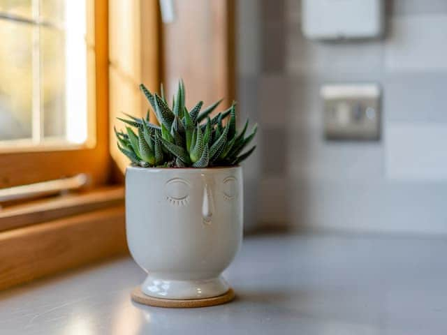 Kitchen | Bluebell Lodge - Chicken Shed Lodges, Ashford