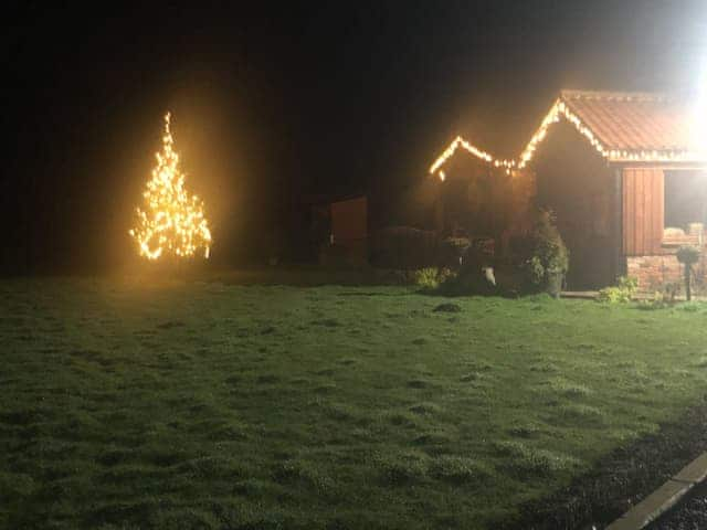 The garden at Christmas | Honey Pots, Foulden, near Swaffham