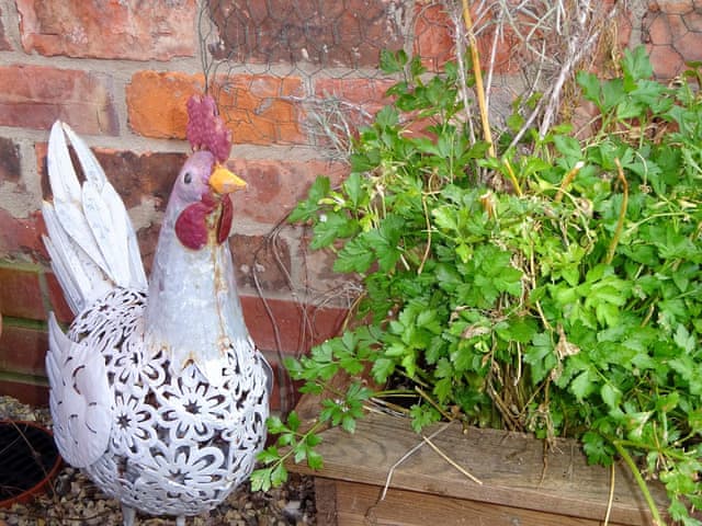 Quirky garden ornaments | Willowfield Cottage, Thornton-Le-Dale