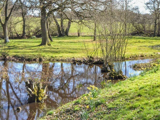 Surrounding area | Lucky Duck Cottage, Coltishall