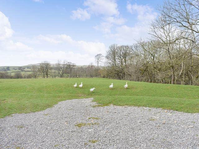 Outdoor area | Smardale Mill Shepods : The Elm - Smardale Mill Shepods, Smardale near Kirkby Stephen