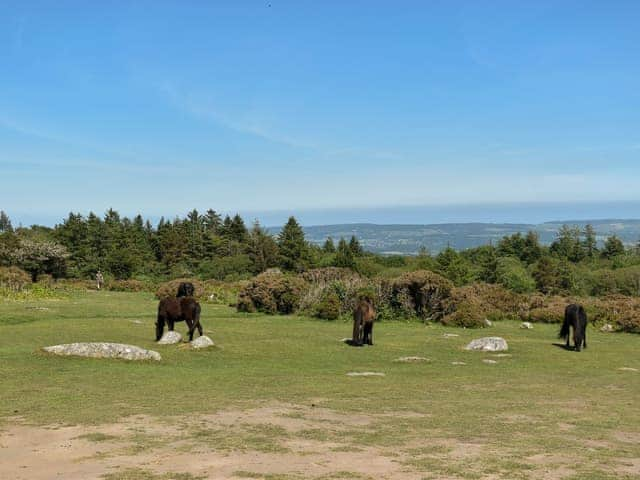 Surrounding area | Crofter&rsquo;s Barn, Brentor