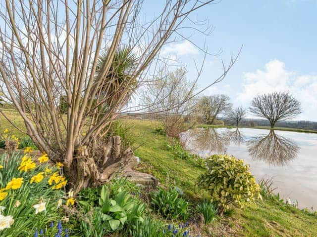 Garden and grounds | Cottage 9 - Willow Cottages, Ashby cum Fenby