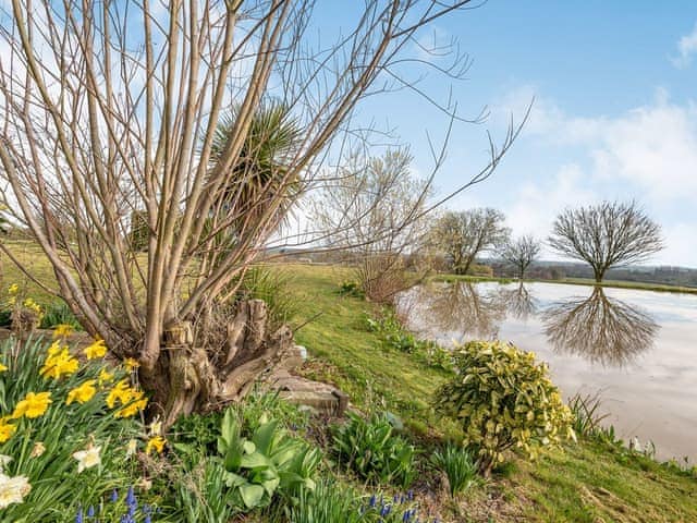 Garden and grounds | Cottage 2 - Willow Lakes, Ashby cum Fenby