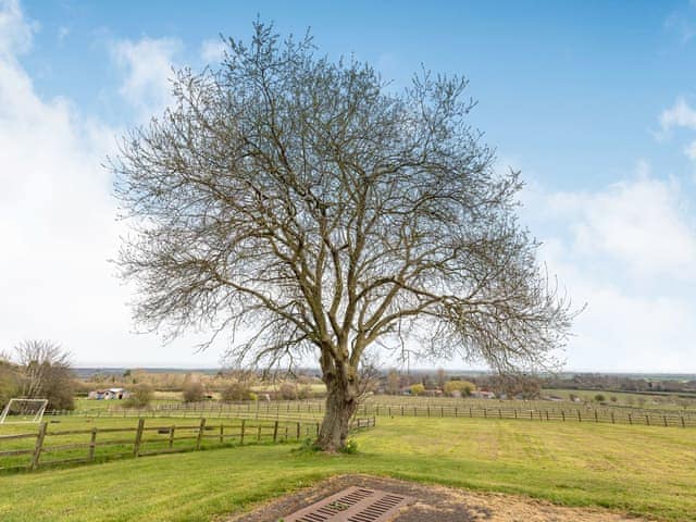 Garden and grounds | Country View - Willow Lakes, Ashby cum Fenby