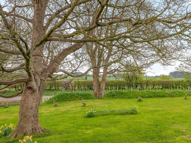 Garden | The Cart Shed, Northrepps