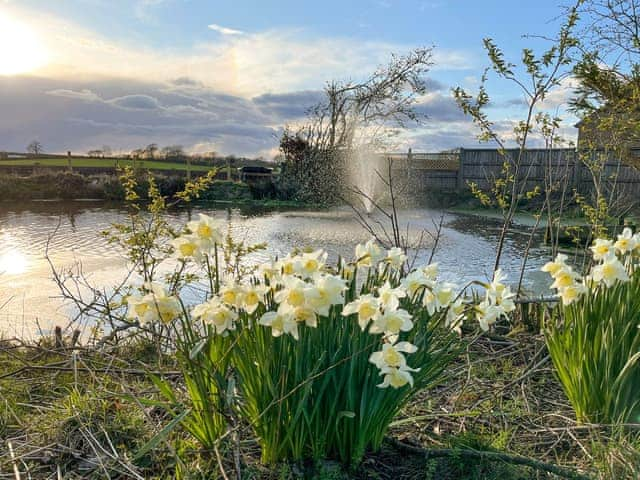 Garden | Ellerton Croft, Carlisle