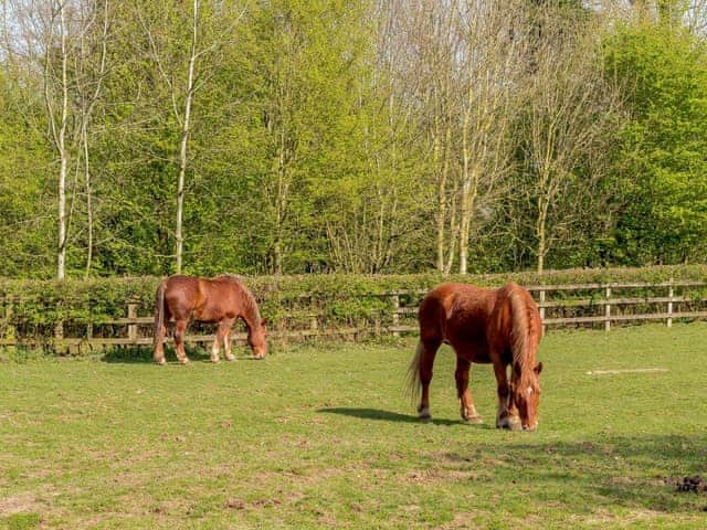 Surrounding area | Granary Barn - Wash Farm Barns, Banham