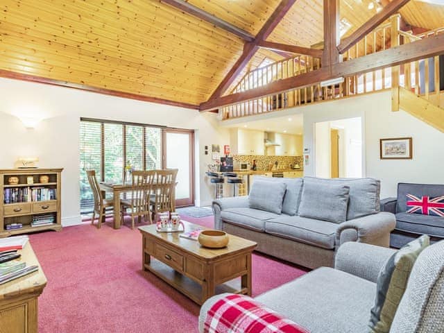 Open plan living space | Cedar Barn - Wash Farm Barns, Banham